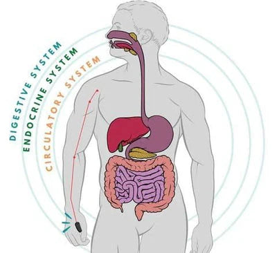 Sugar Control LI4 Acupressure Clip